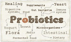 Probiotic Manufacturing Can Expand Your Product Lines