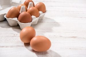 Get Egg-Cited About Egg Albumen Protein Powder