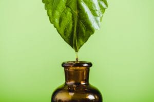 Herbal Supplements on the Rise