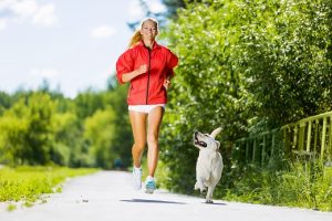 Protecting Man's Best Friend with Pet Supplements