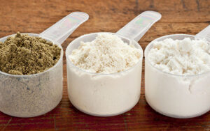 protein Powder Manufacturing