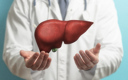 Ingredients your Liver Support Supplement Needs