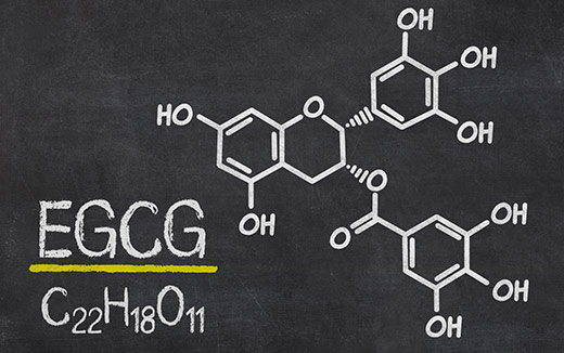 EGCG – Potential Health Benefits & Risks