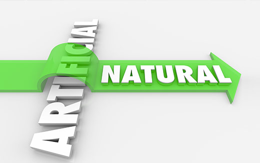 Natural vs. Synthetic Ingredients in Supplements: Which is Better for Your Health?