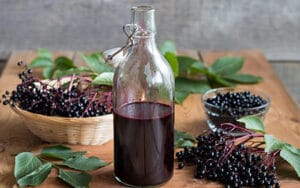 Aronia Berry