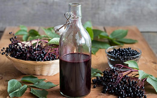 The Antioxidant you have never heard of: Aronia Berry